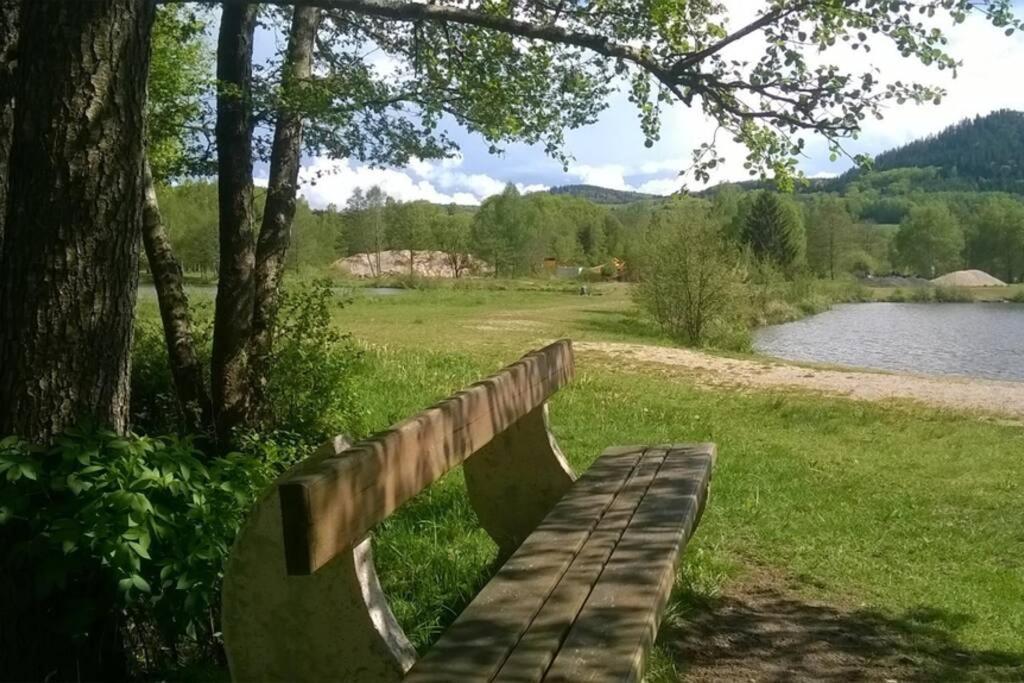 Les Gites De L Etang :Studio A 20 Mn De Gerardmer La Chapelle  Esterno foto