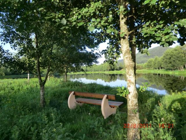 Les Gites De L Etang :Studio A 20 Mn De Gerardmer La Chapelle  Esterno foto