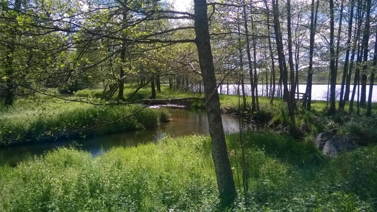 Les Gites De L Etang :Studio A 20 Mn De Gerardmer La Chapelle  Esterno foto