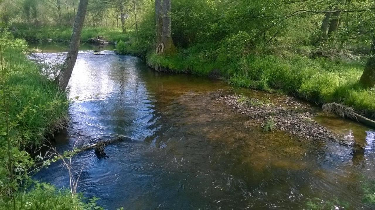 Les Gites De L Etang :Studio A 20 Mn De Gerardmer La Chapelle  Esterno foto
