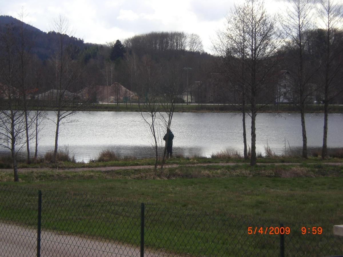 Les Gites De L Etang :Studio A 20 Mn De Gerardmer La Chapelle  Esterno foto
