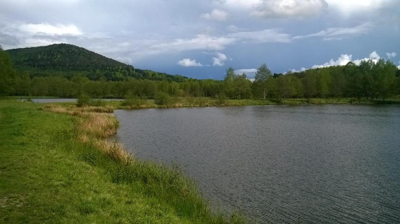 Les Gites De L Etang :Studio A 20 Mn De Gerardmer La Chapelle  Esterno foto
